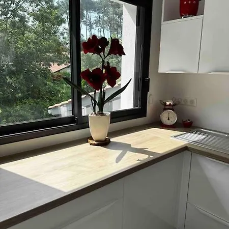 Neuf Avec Jardin 60 M2 Climatise A Proximite De L Ocean Tarnos