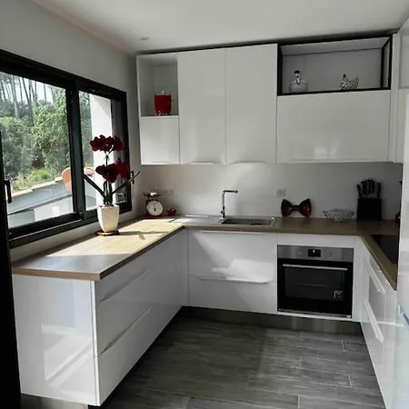 Apartment Neuf Avec Jardin 60 M2 Climatise A Proximite De L Ocean