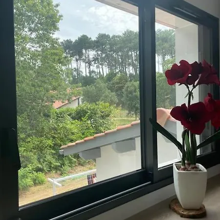 Apartmán Refuge Au Climatise Avec Jardin Proche Ocean 6 Personnes
